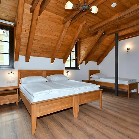 Apart-hotel Zámek Castle - Podzámčí Undercastle Racice (Vyskov)