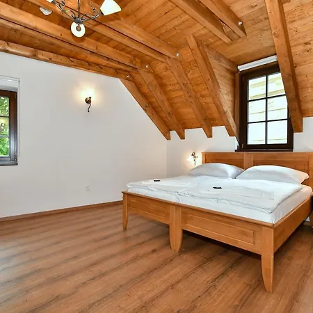 Apart-hotel Zámek Castle - Podzámčí Undercastle Racice (Vyskov)