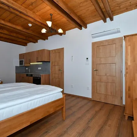 Hotel apartamentowy Zamek Castle - Podzamci Undercastle Racice (Vyskov)