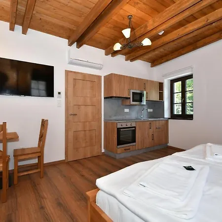 Apart-hotel Zámek Castle - Podzámčí Undercastle 4*