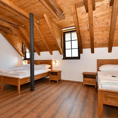 Zámek Castle - Podzámčí Undercastle 4* Racice (Vyskov)